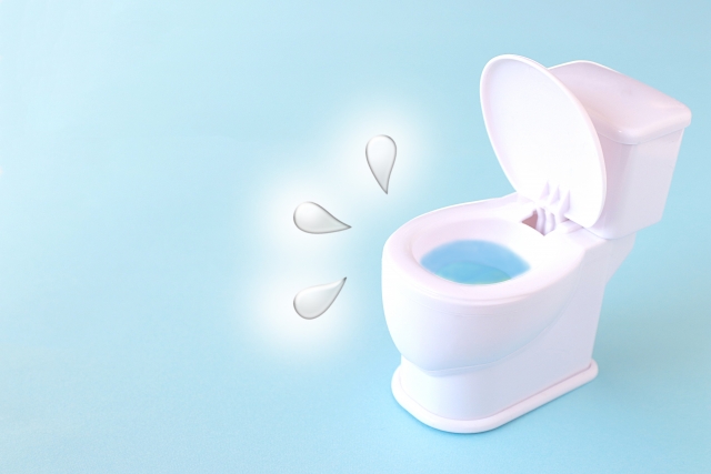 What causes the toilet to smell